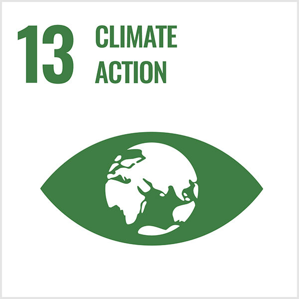 #13 climate action with icon in green